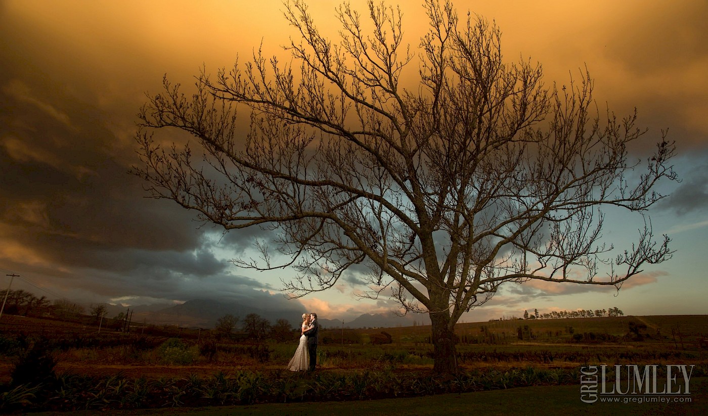 Bridal couple standing beside a massive tree under a dramatic sky with rich orange-brown and soft blue clouds, capturing the beauty of a winter sunset.